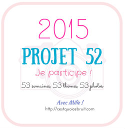 Projet52-2015-logo-cqcb-250 (4)